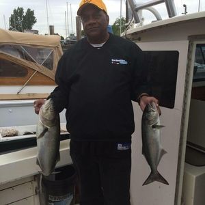 Meet your Posher, Rod